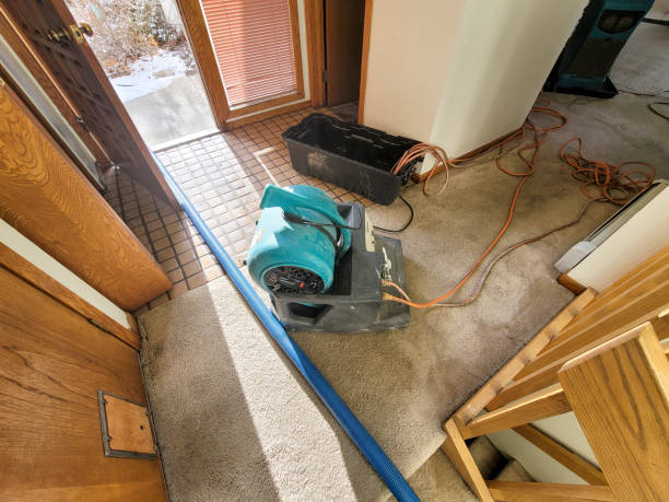 Best 24/7 water damage repair  in The Hideout, PA