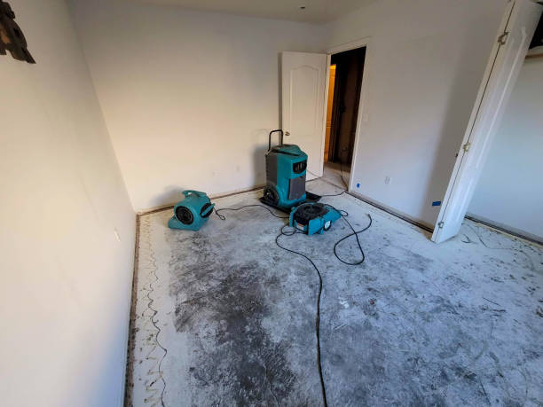 Best Water damage contractors near me  in The Hideout, PA