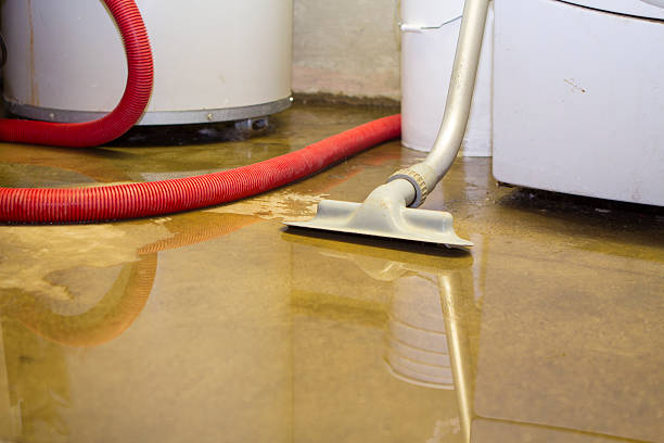 Best Carpet water damage restoration  in The Hideout, PA